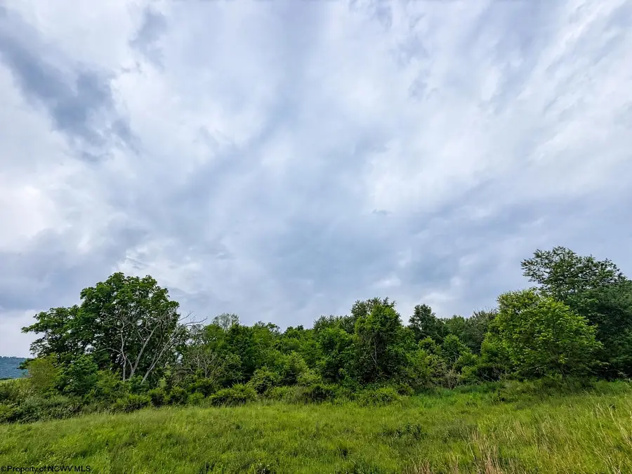 Lot 11 Iron Horse Lane, Dryfork, WV 26263 - #2