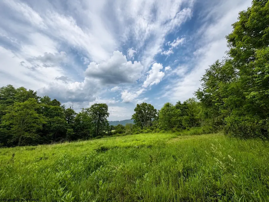 Lot 11 Iron Horse Lane, Dryfork, WV 26263 - #3