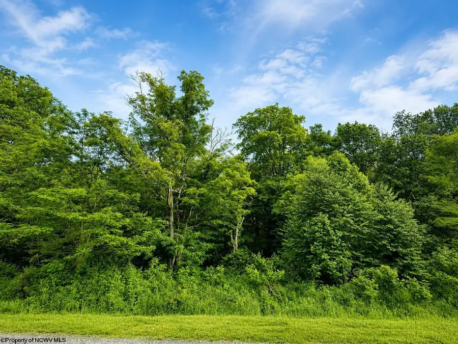 Lot 12 Iron Horse Lane, Dryfork, WV 26263 - #2
