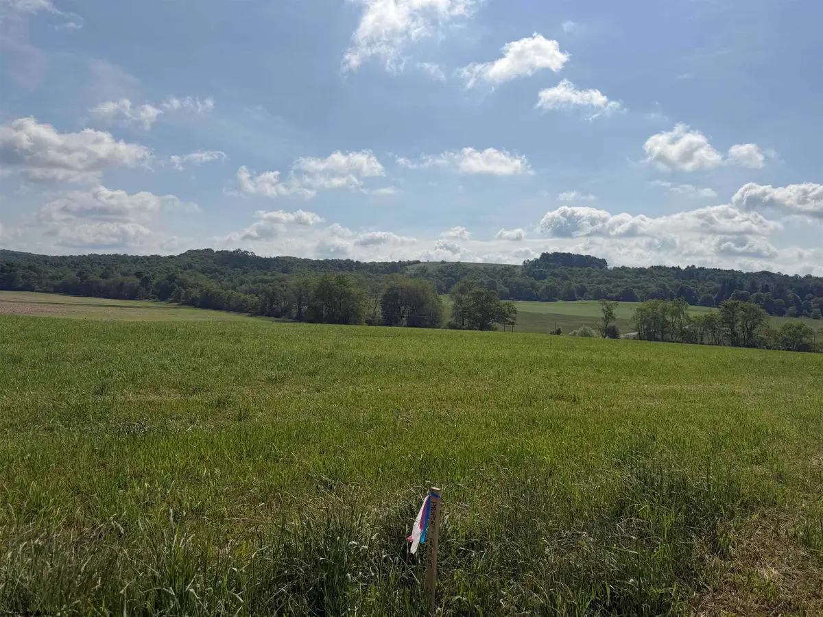 0 Clifton Salem Road, Bruceton Mills, WV 26525 - #1