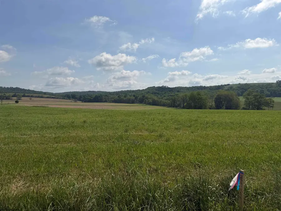 0 Clifton Salem Road, Bruceton Mills, WV 26525 - #2