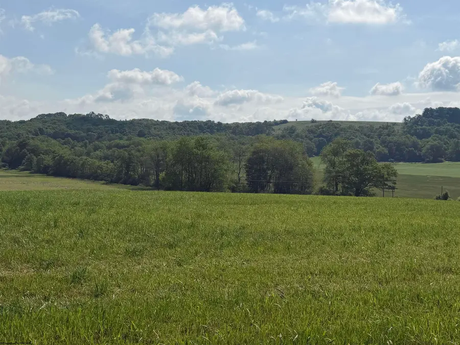 0 Clifton Salem Road, Bruceton Mills, WV 26525 - #3