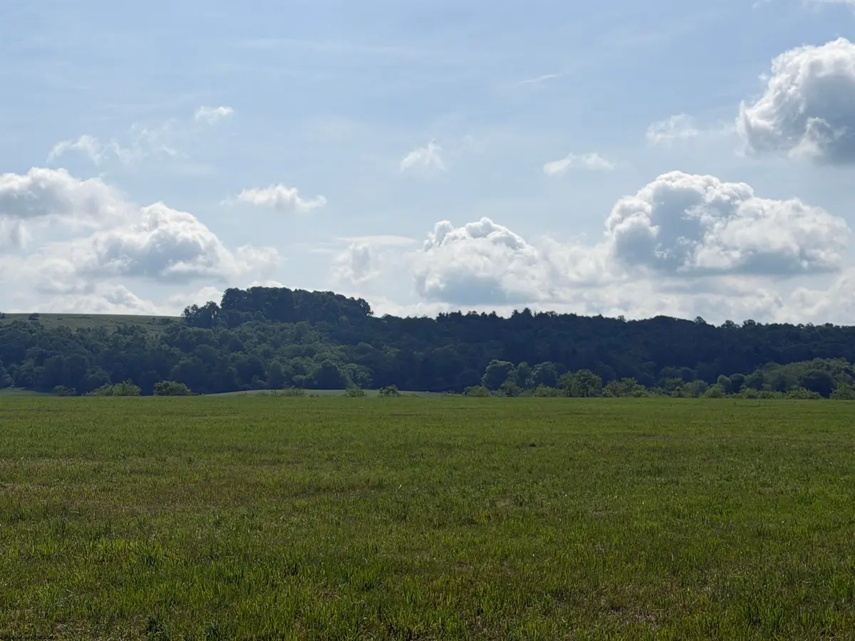 001 Clifton Salem Road, Bruceton Mills, WV 26525 - #1