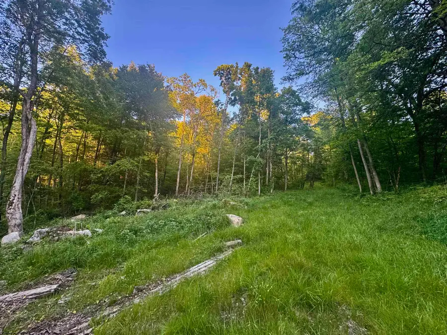 Tract B John Orr Road, Independence, WV 26374 - #2