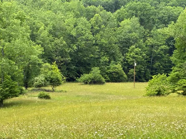 1168 Heaston Ridge Road, Crawford, WV 26343