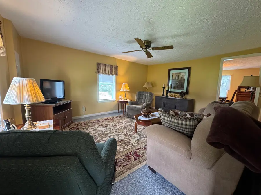 4397 Location Road, Parsons, WV 26287 - #2