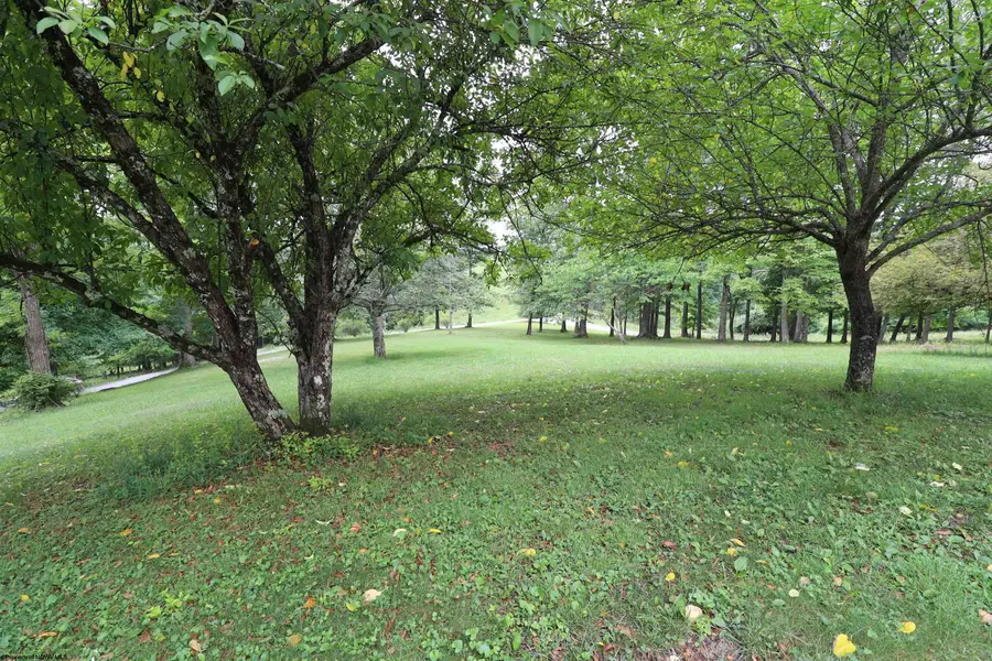 523 Ebberman Creek, Elkins, WV 26241 - #2