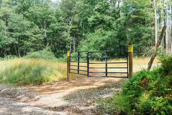 TBD Eagles Nest Road, Bruceton Mills, WV 26525