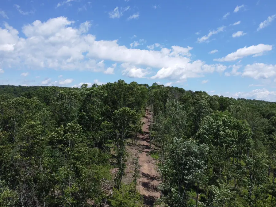 TBD Eagles Nest Road, Bruceton Mills, WV 26525 - #2