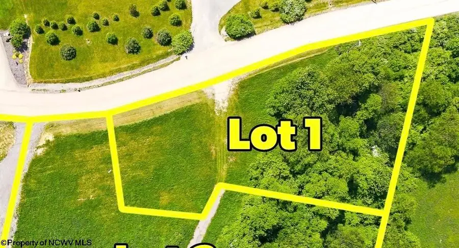 TBD Laurel Run Pisgah Road, Bruceton Mills, WV 26525 - #2