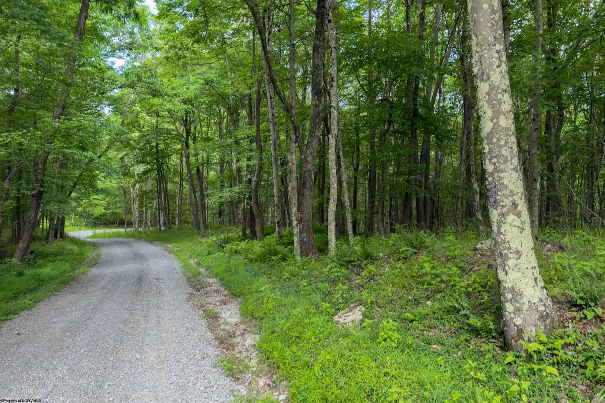 TBD Camp Mountaineer Road, Morgantown, WV 26508 - #1