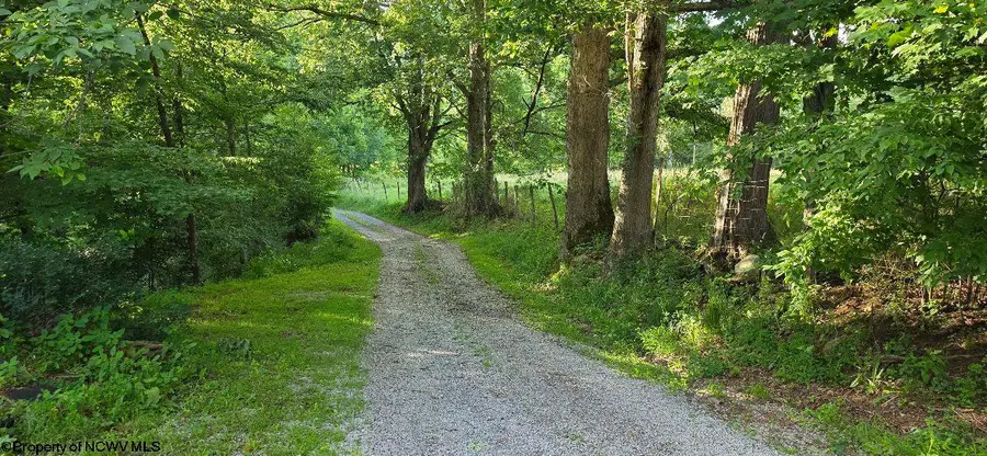 98 Wolford Lane, Dryfork, WV 26263 - #2