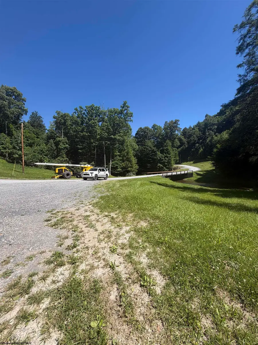 105 Laural Loop, Bruceton Mills, WV 26525 - #3