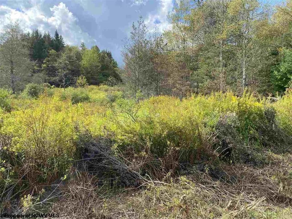 Lot 47 Mountain View Drive, Davis, WV 26260 - #1