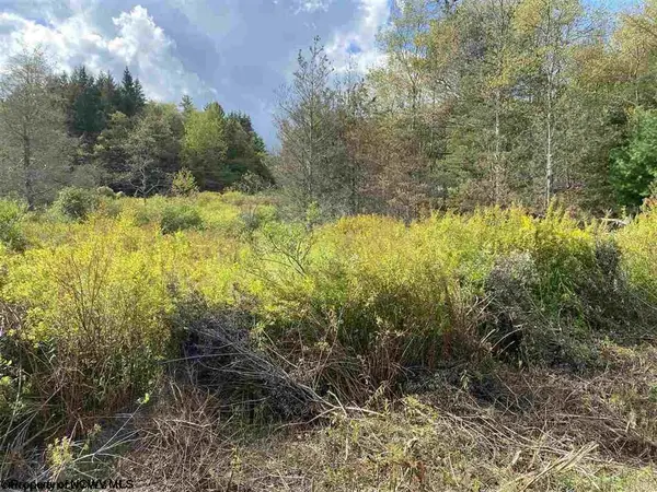 Lot 47 Mountain View Drive, Davis, WV 26260