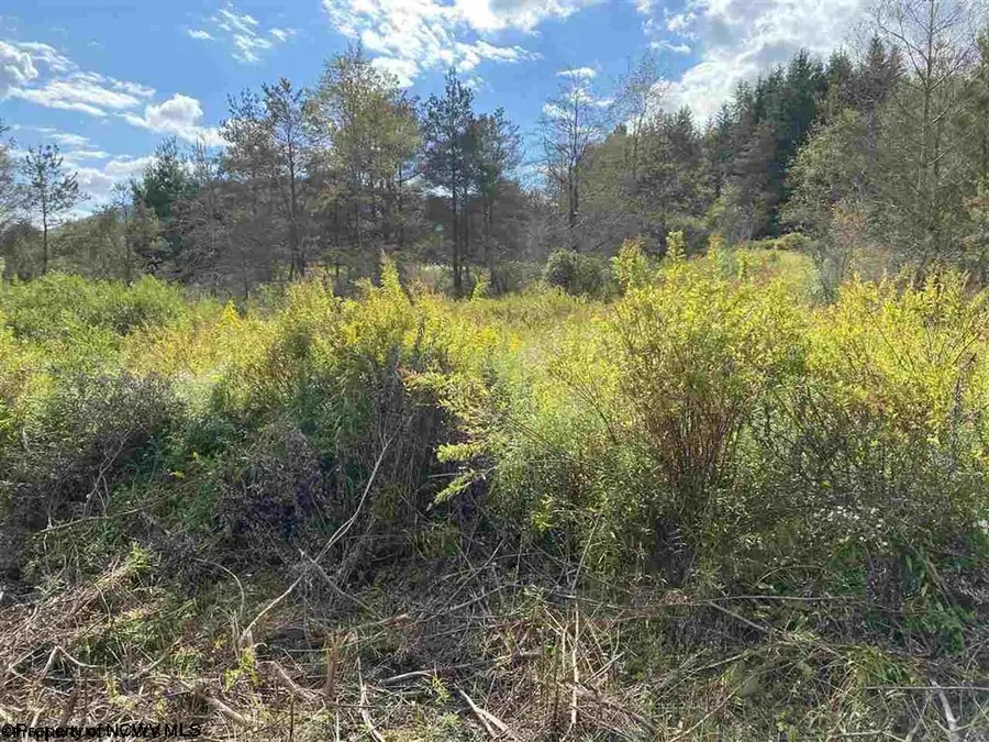 Lot 47 Mountain View Drive, Davis, WV 26260 - #2