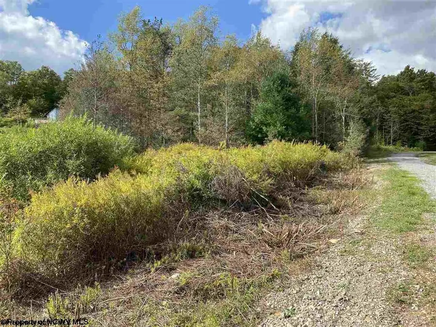 Lot 47 Mountain View Drive, Davis, WV 26260 - #3