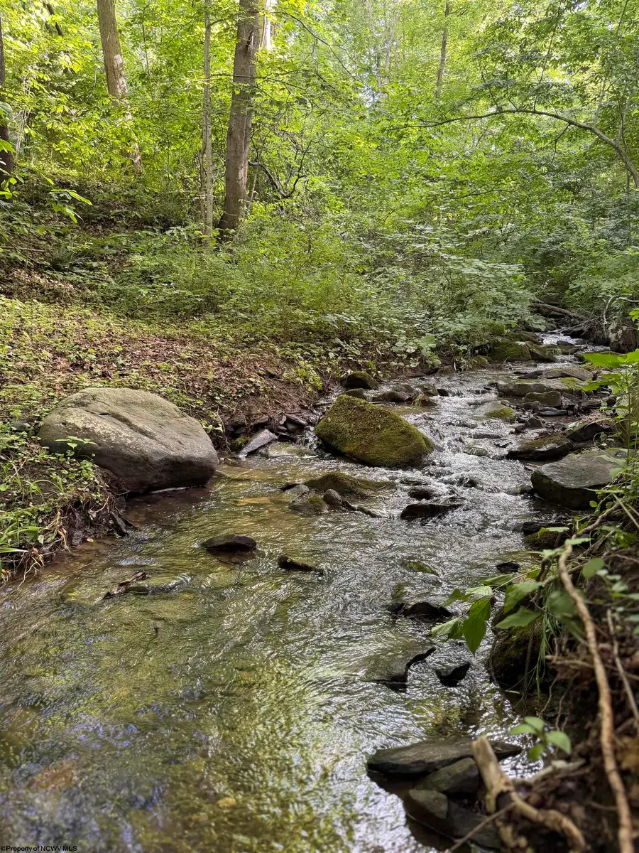 2527 Smithtown Road, Morgantown, WV 26505 - #2