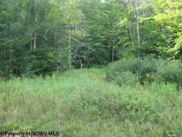 Lot 3 Northlake Drive, Davis, WV 26260-0000