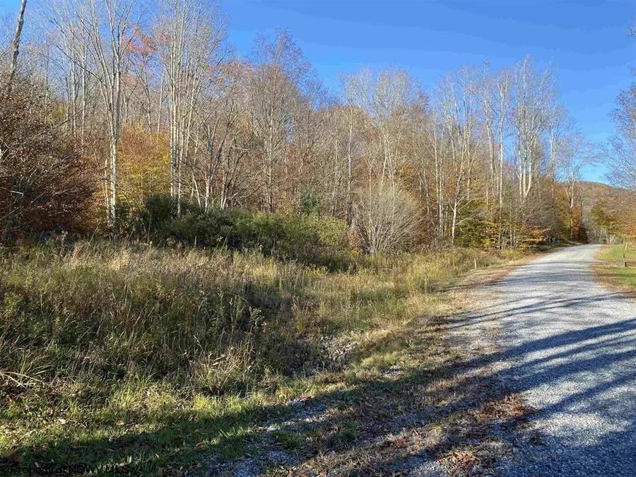 Lot 3 Northlake Drive, Davis, WV 26260-0000 - #3