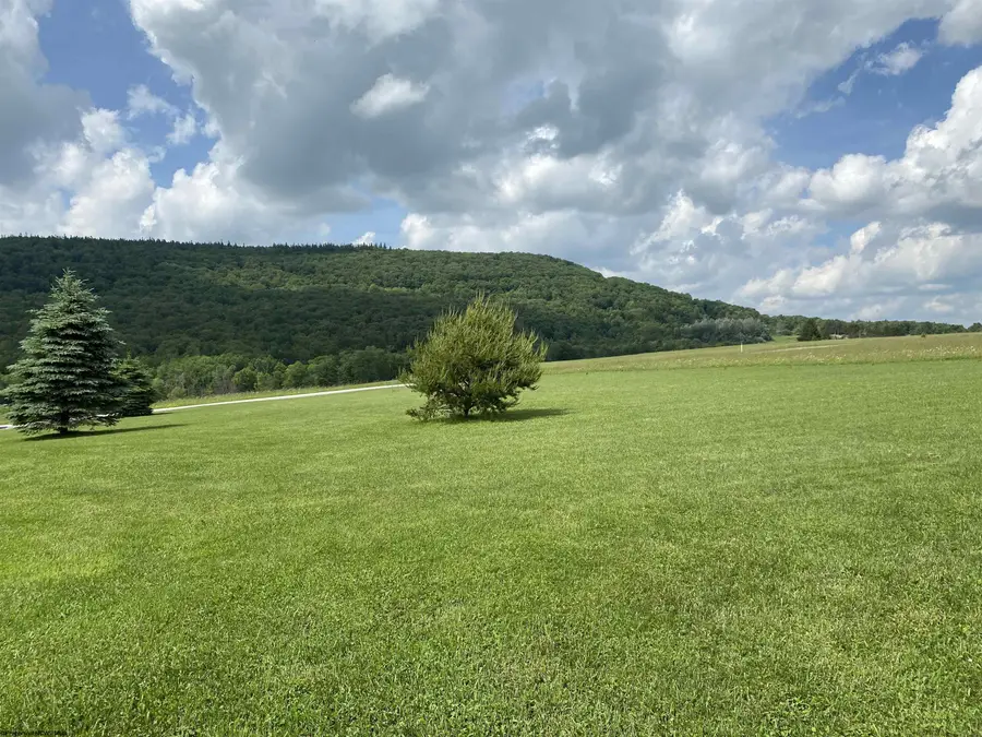 lot 35 Mallow Lake Drive, Davis, WV 26260 - #2
