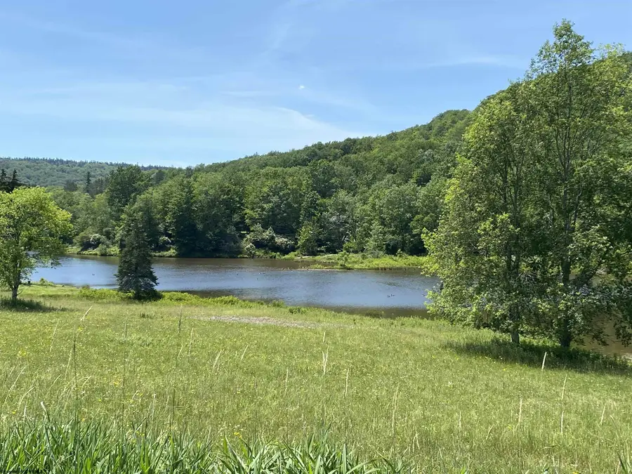 lot 35 Mallow Lake Drive, Davis, WV 26260 - #3