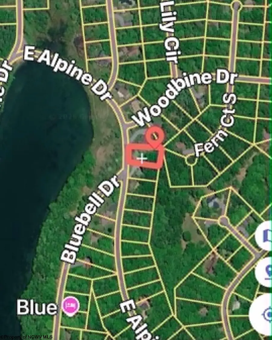 Lot 2 E Alpine Drive, Terra Alta, WV 26764 - #3