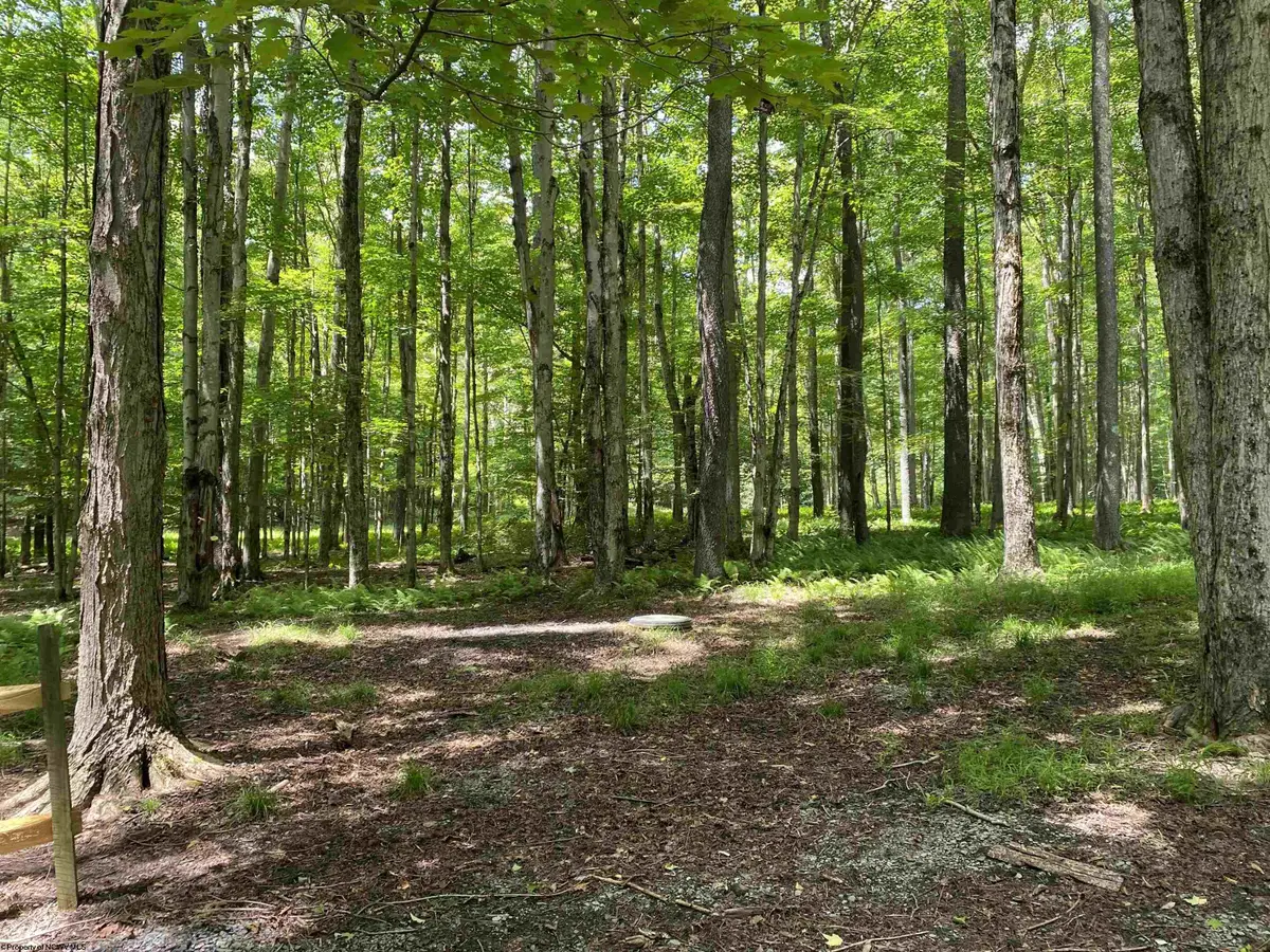 Lot 42 Bobcat Road, Davis, WV 26260 - #1