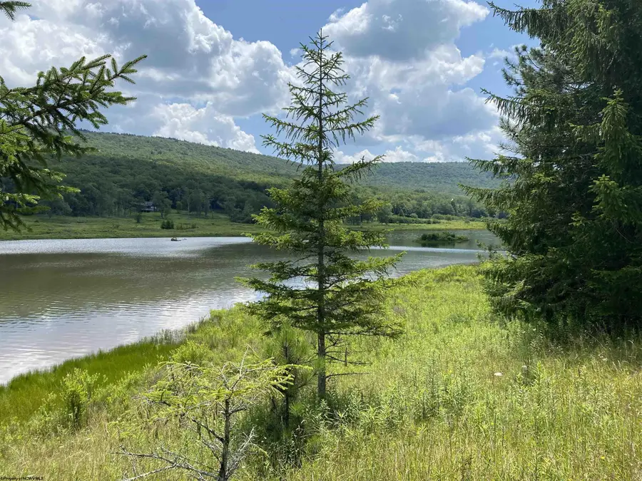 Lot 42 Bobcat Road, Davis, WV 26260 - #2