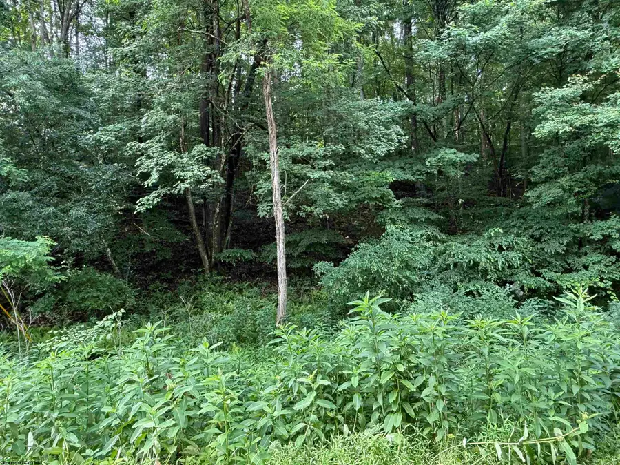 0 Oak Drive, Elkins, WV 26241 - #2