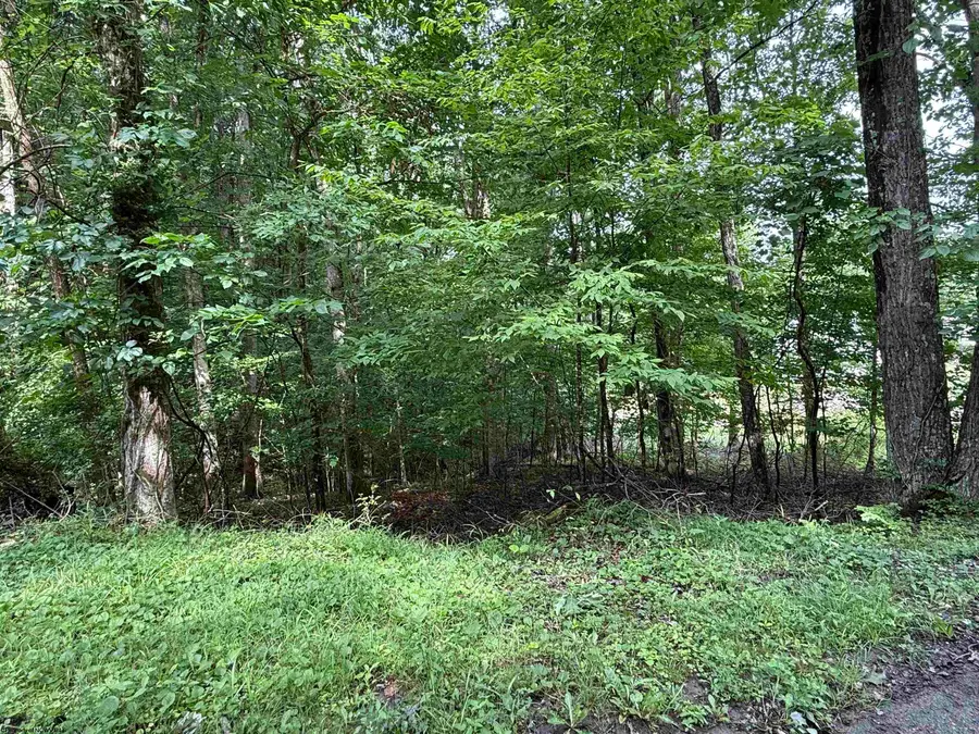 0 Oak Drive, Elkins, WV 26241 - #3