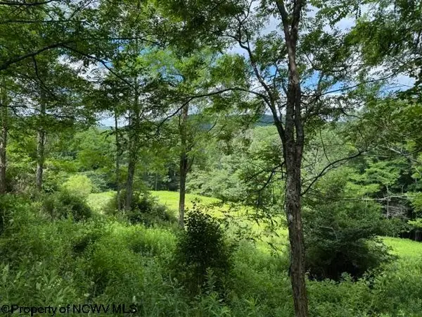 Lot 36,38,49 Hawthorne Valley Drive, Slaty Fork, WV 26291-000