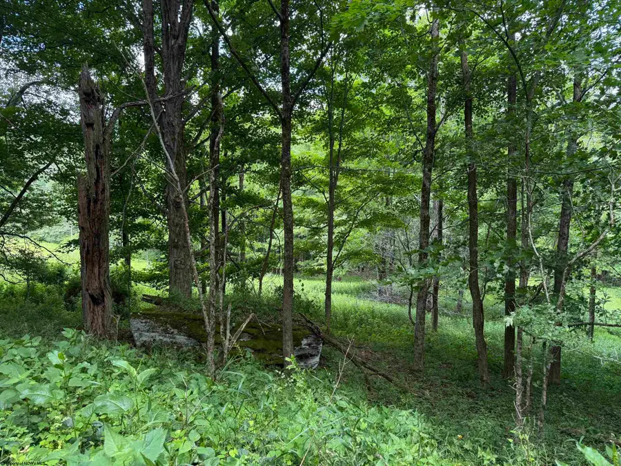 Lot 36,38,49 Hawthorne Valley Drive, Eastern, WV 26291-000 - #2