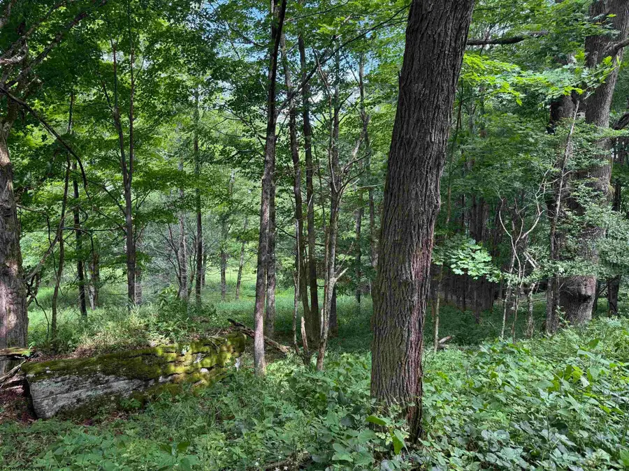 Lot 36,38,49 Hawthorne Valley Drive, Eastern, WV 26291-000 - #3