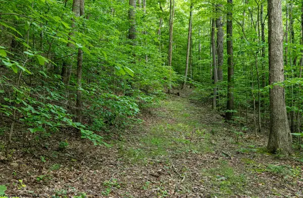 Lot 1 Sycamore Fork Road, Wallace, WV 26448