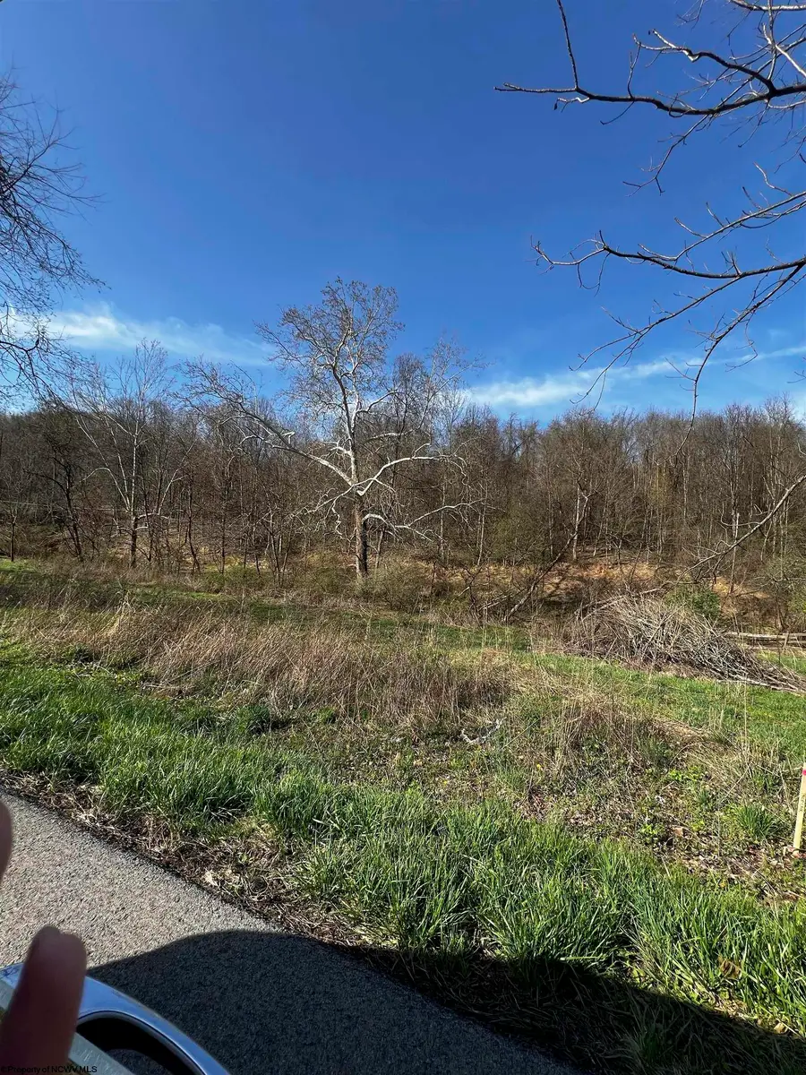 TBD Bloody Run Road, Morgantown, WV 26508 - #3
