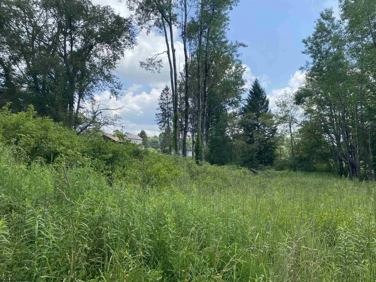 TBD Spruce Street, Thomas, WV 26292 - #1