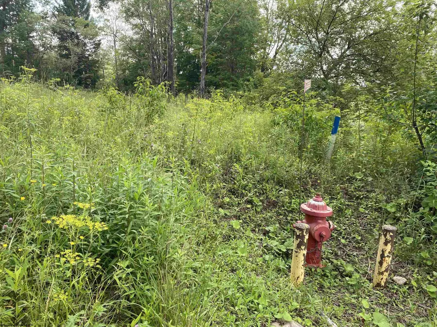 TBD Spruce Street, Thomas, WV 26292 - #3