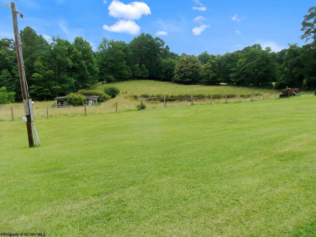TBD Audra Park Road, Belington, WV 26250 - #1