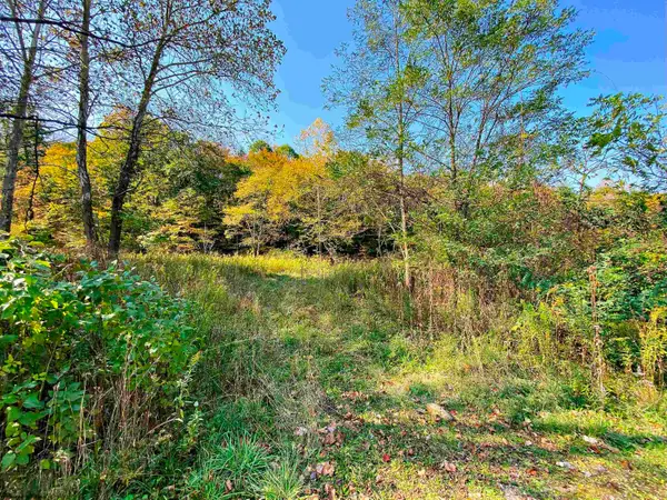 TBD Blizzard Gate Road, Harman, WV 26270