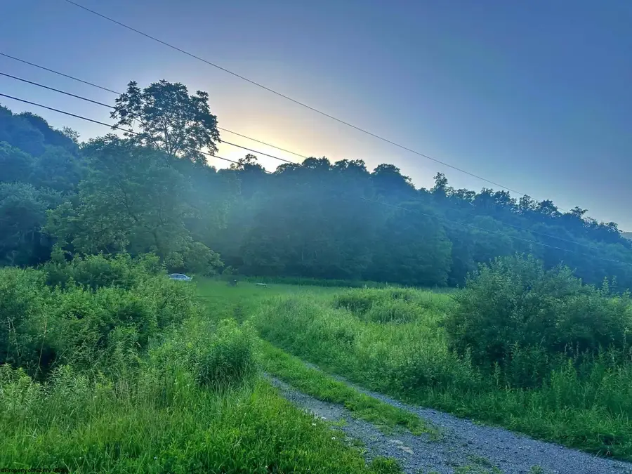 0 Saltlick Road, Terra Alta, WV 26764 - #2