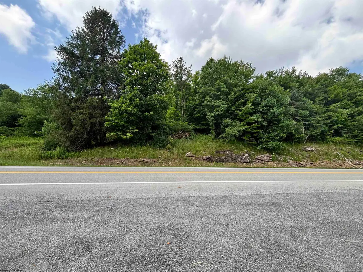 TBD Barbour County Highway, Belington, WV 26250 - #1