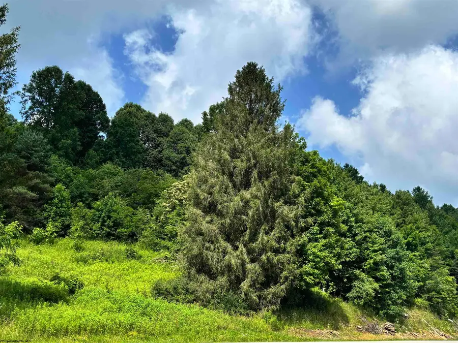 TBD Barbour County Highway, Belington, WV 26250 - #2
