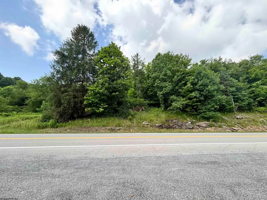 TBD Barbour County Highway, Belington, WV 26250 - #3