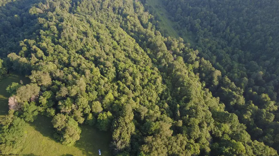 00 Saltlick Road, Terra Alta, WV 26764 - #2