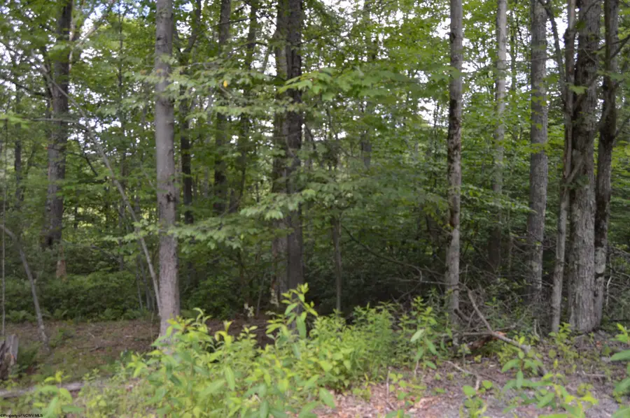 Lot 192 Azalea Drive, Terra Alta, WV 26764 - #2