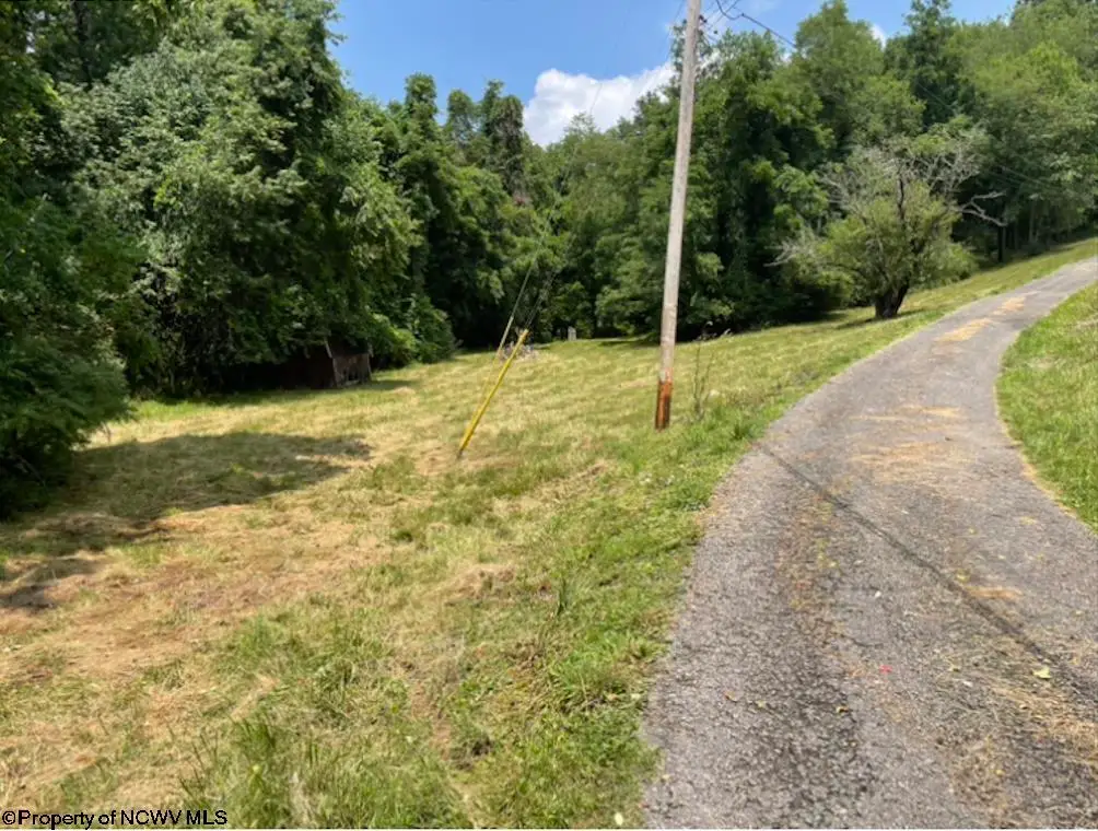 TBD Simspon Run Road, Weston, WV 26452 - #1