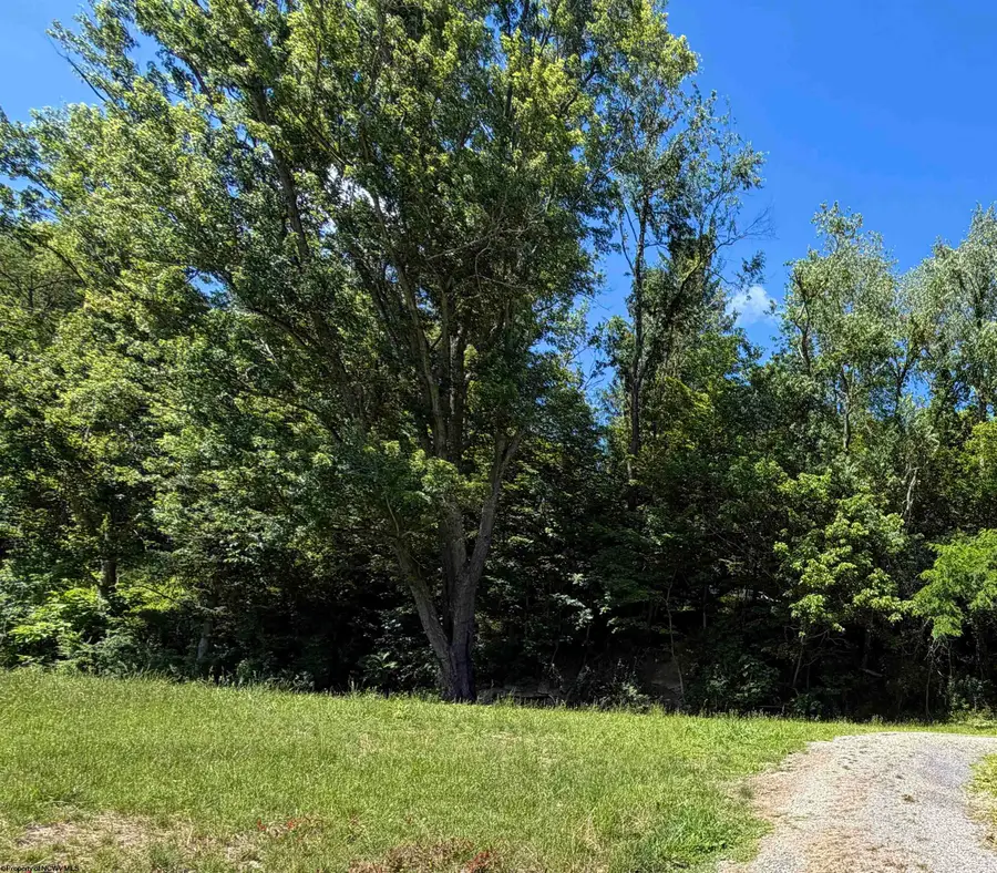 517 Hoult Road, Fairmont, WV 26554 - #2