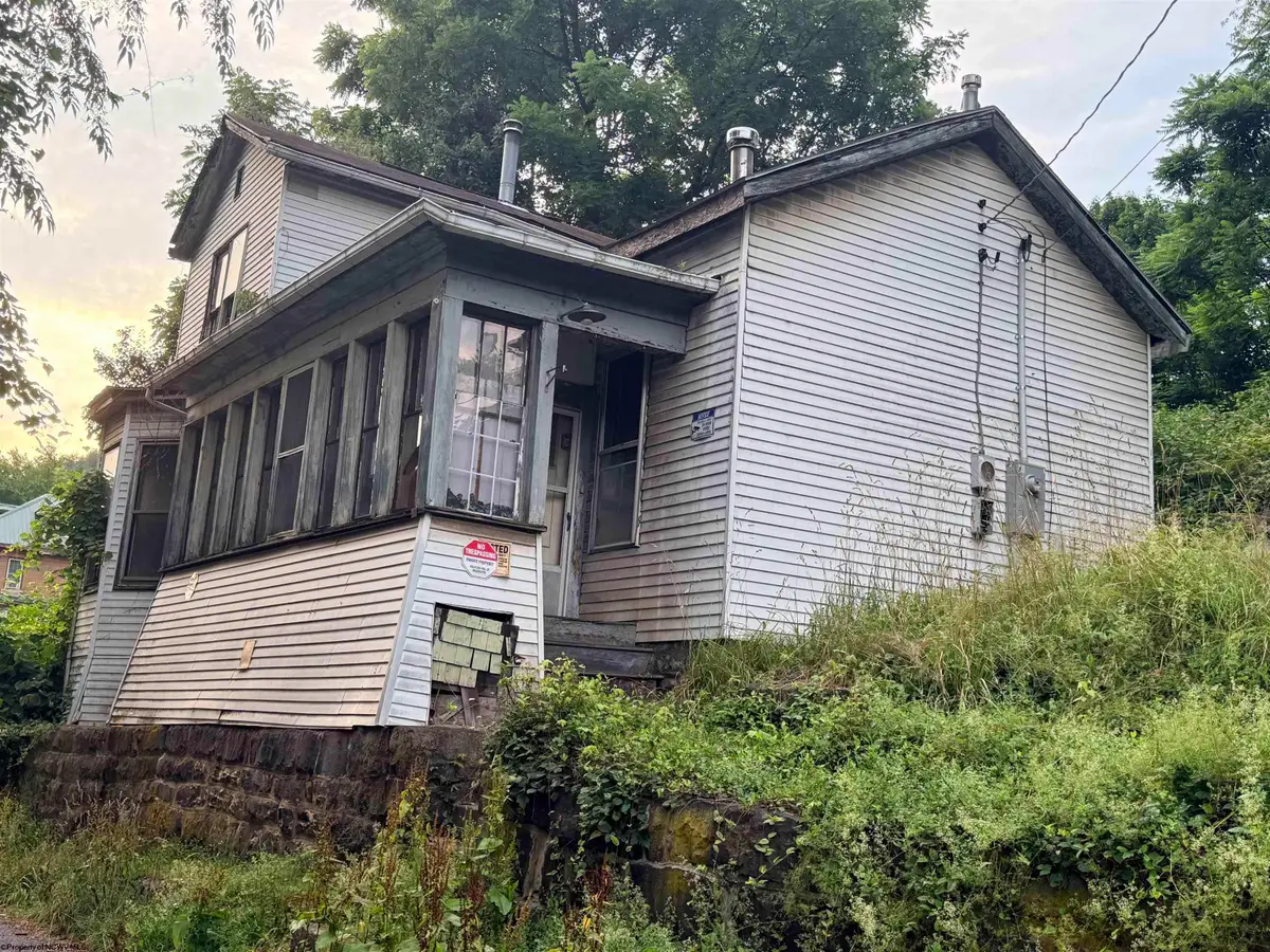 113 Long Street, Grafton, WV 26354 - #1