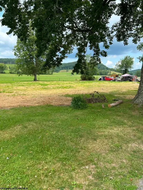 123 Freemans Road, French Creek, WV 26218